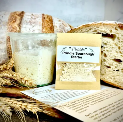 photo of dehydrated sourdough starter from Prindle Sourdough