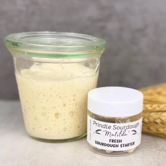 Sourdough Dough Starter-Fresh Live - Image 3
