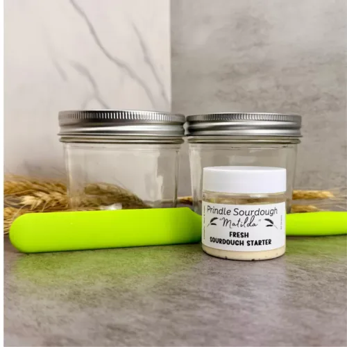 photo of a live sourdough starter for sale by Prindle Sourdough