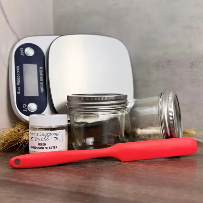 Sourdough Deluxe Starter Kit-Fresh Live